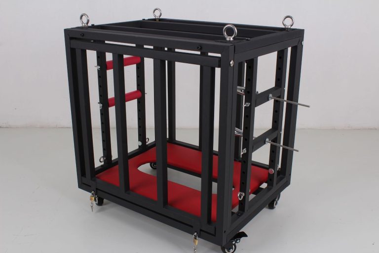 BDSM sex training puppy cage