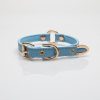 Blue stylish simple collar (without leash)