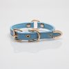 Blue stylish simple collar (without leash)
