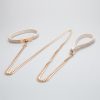 Exquisite geometric shape Teddy plush choker (with leash)
