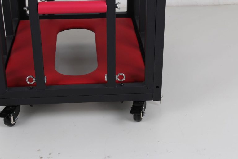 BDSM sex training puppy cage - Image 8