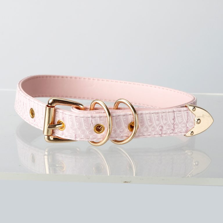 Simple fun crocodile choker (without leash)