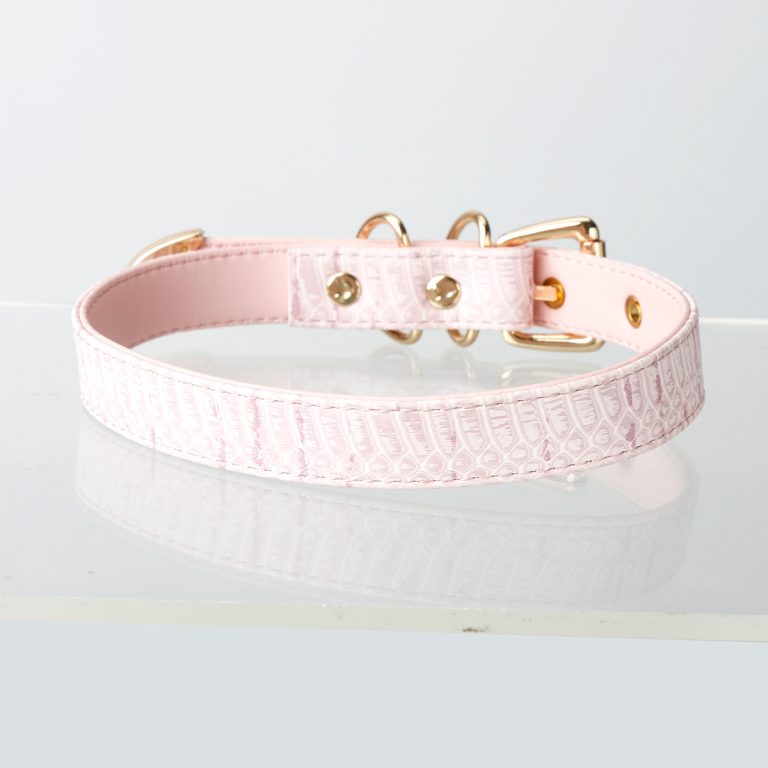Simple fun crocodile choker (without leash)
