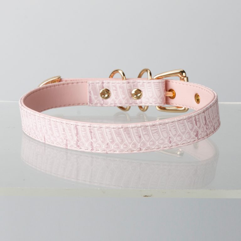 Simple fun crocodile choker (without leash)