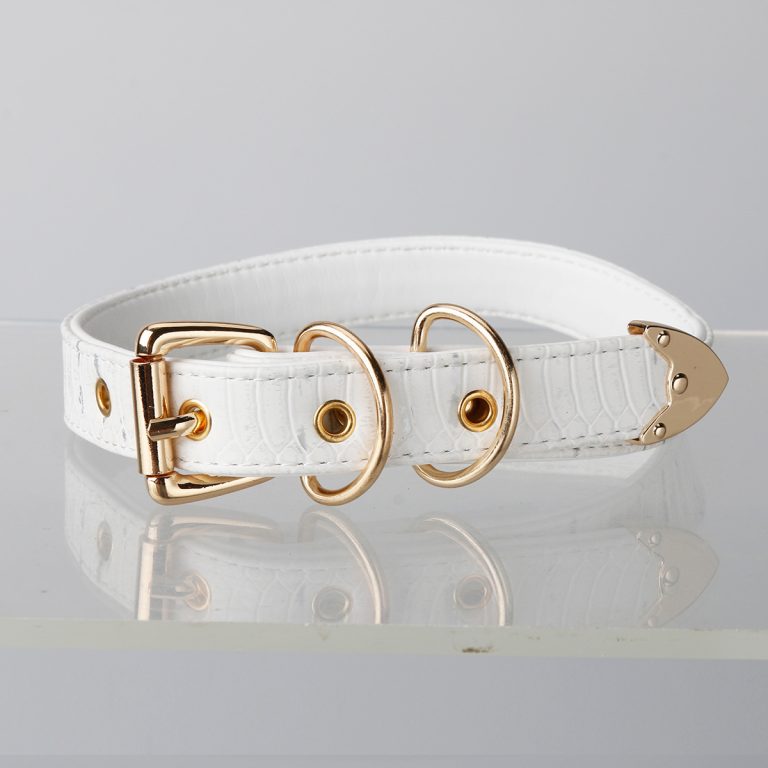 Simple fun crocodile choker (without leash)