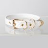 Simple fun crocodile choker (without leash)