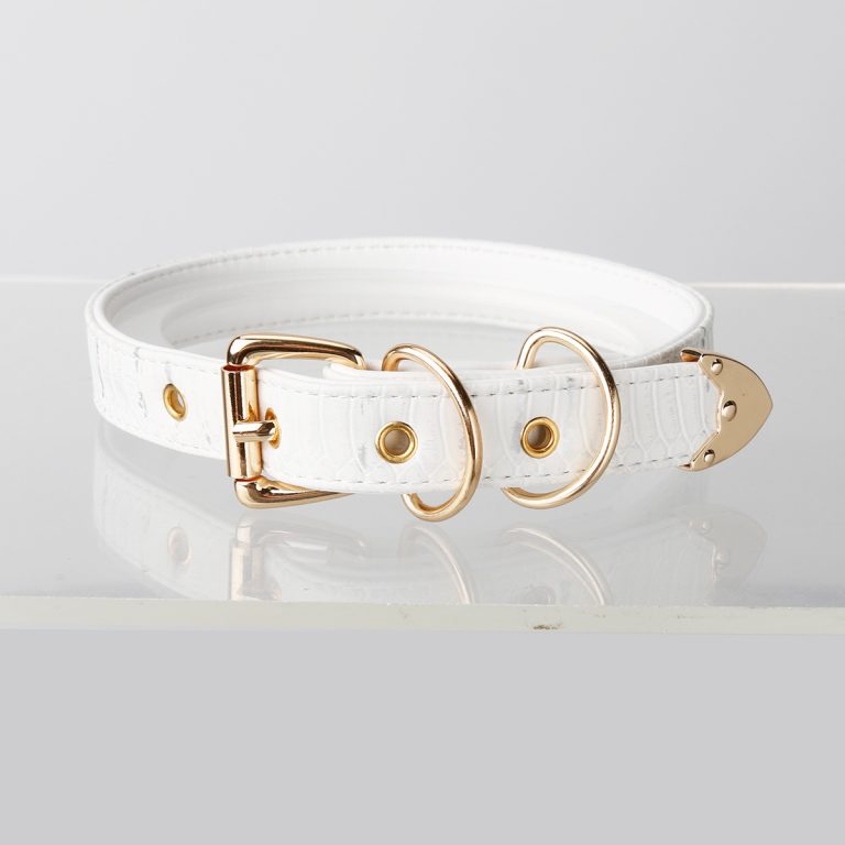 Simple fun crocodile choker (without leash)
