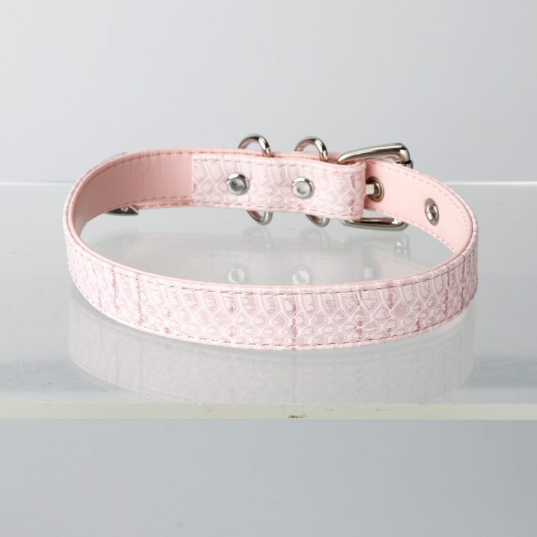 Simple fun crocodile choker (without leash)