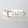 Simple fun crocodile choker (without leash)
