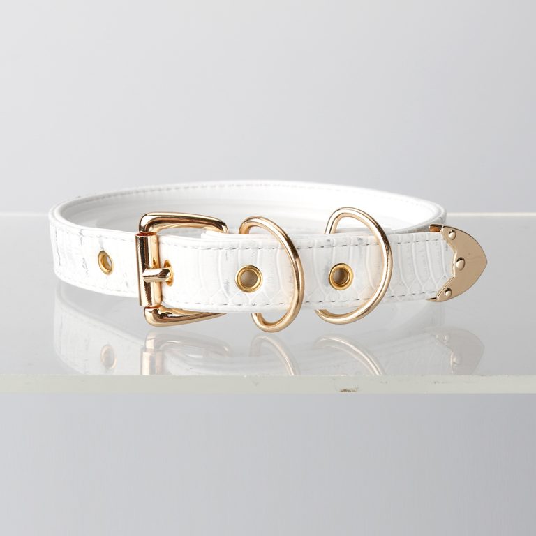 Simple fun crocodile choker (without leash)