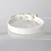 Simple fun crocodile choker (without leash)
