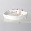 Simple fun crocodile choker (without leash)