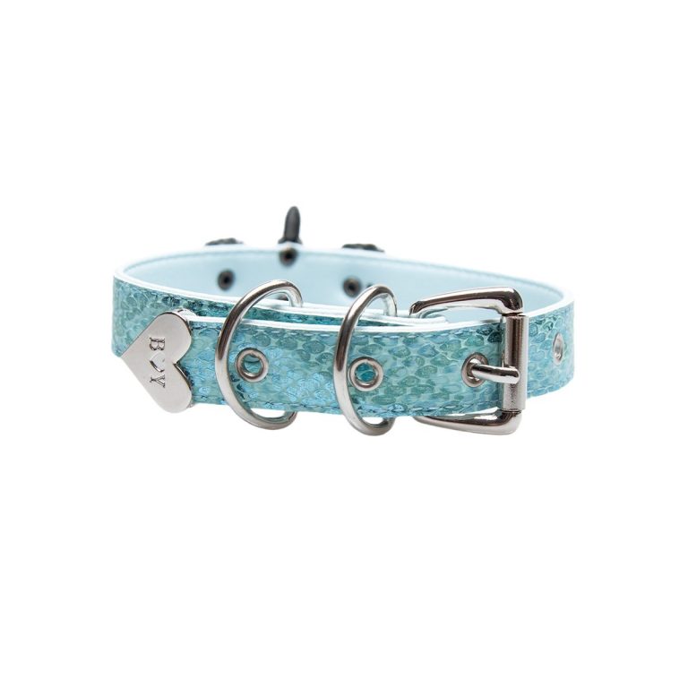 Original turquoise snakeskin choker (without leash)