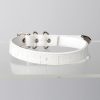 Simple fun crocodile choker (without leash)
