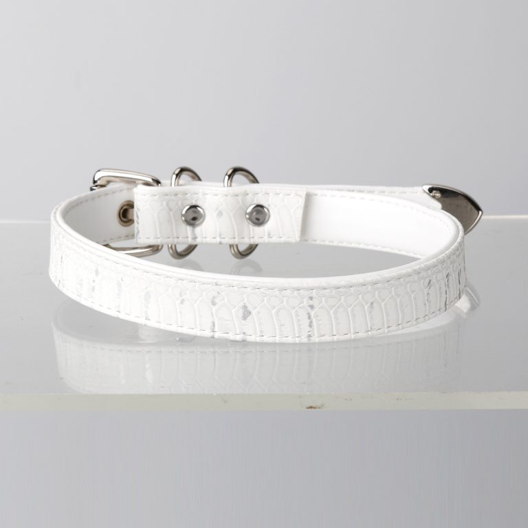 Simple fun crocodile choker (without leash)