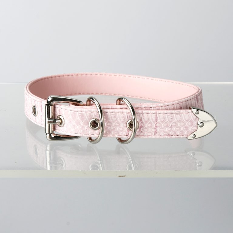 Simple fun crocodile choker (without leash)