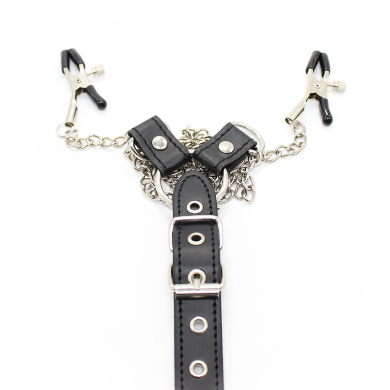 Adult sexy sex products chain nipple clamps JJ rings men's bondage training props - Image 6