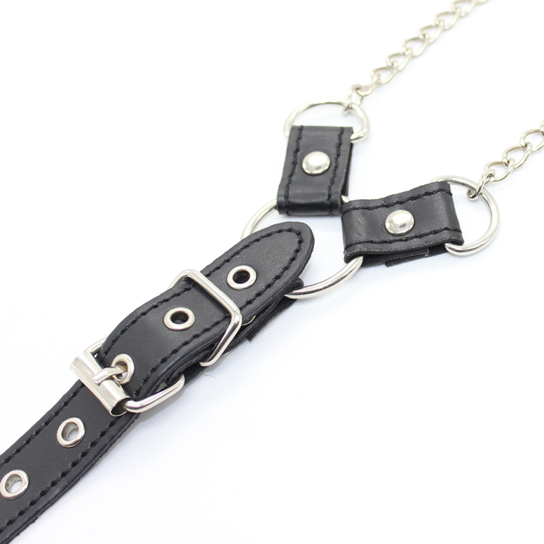 Adult sexy sex products chain nipple clamps JJ rings men's bondage training props - Image 8