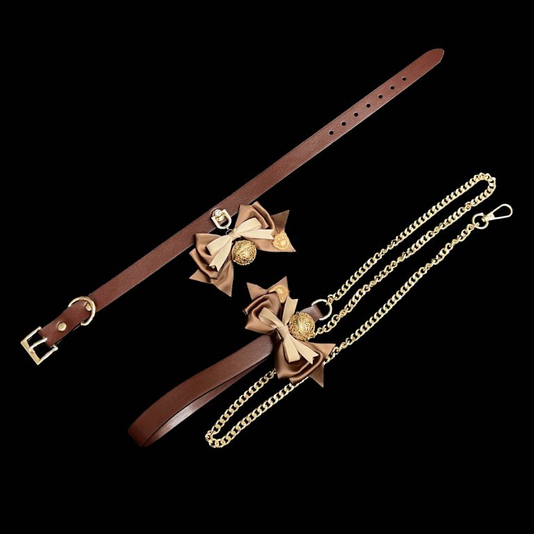 Neverland Ranch smsexy nipple clamp punishment butterfly bell ring tuning collar traction fox tail butt plug - Image 3