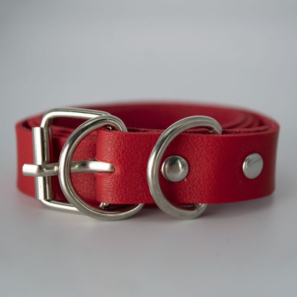 SM sexy bondage clothing leather bondage belt women wear conjoined underwear sexy Dew temptation set - Image 14