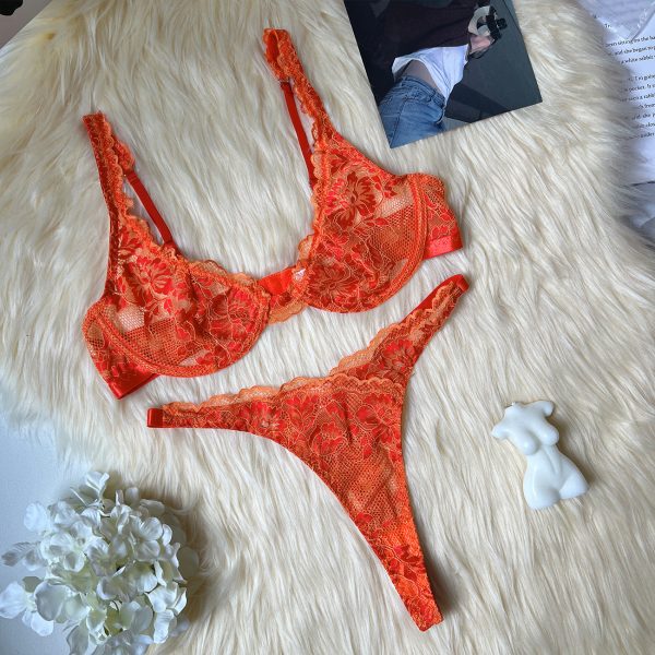 Europe and the United States foreign trade supply  new two-color lace sexy underwear with steel ring set underwear - Image 13
