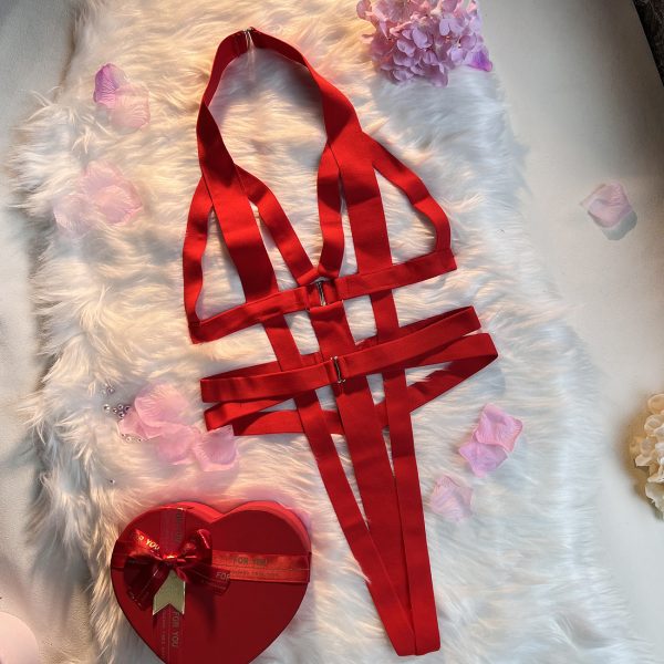 DIER Europe and the United States foreign trade sexy underwear sexy women's one-piece hollow strap - Image 6