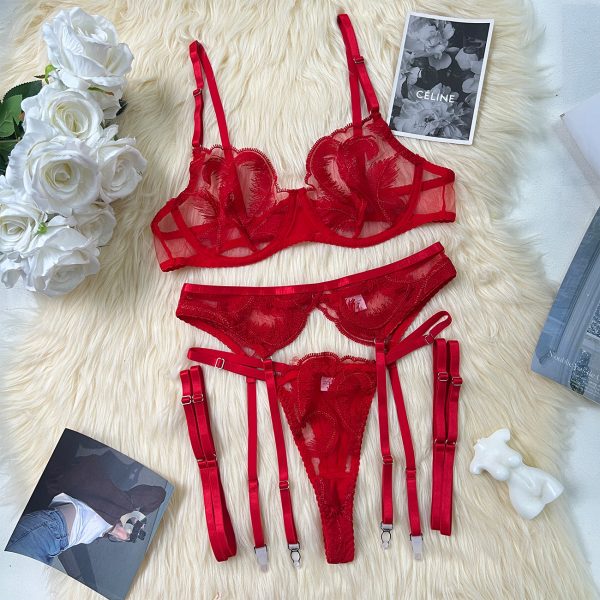 Dier European and American Sexy Popular Sexy Temptation Mesh Heavy Embroider Bra Set - Image 6