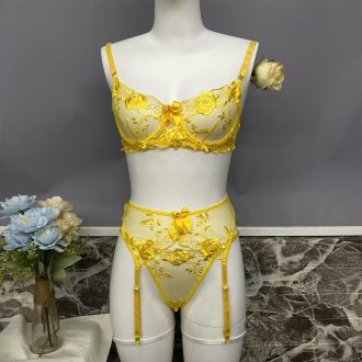 Dier Fashion European and American Heavy Industry Star Embroidery Sexy Lace-Up Sling Underwear Kit