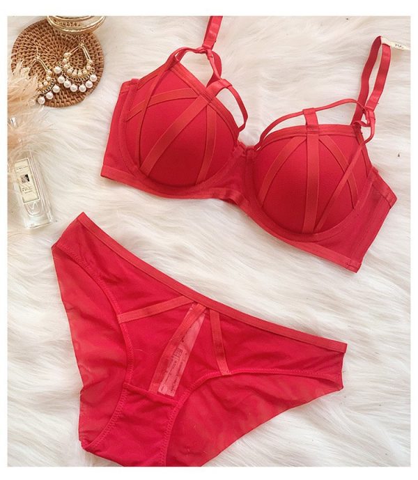European and American style fashion girl briefs bra underwear with steel ring mold cup suit sexy lace French bra - Image 6