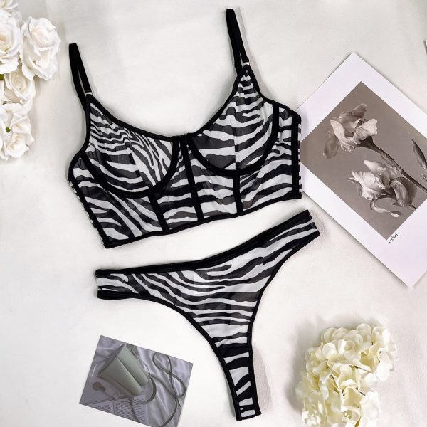 DIER Foreign Trade Hot Sexy Lingerie Sexy Perspective 2 Piece Set - Image 10