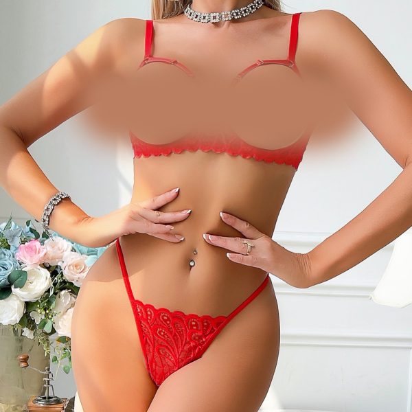 Dier Export Hot-Selling Lace Cut Out See-Through Temptation Sexy Comfortable Simple Push-Up Intimates Set - Image 3