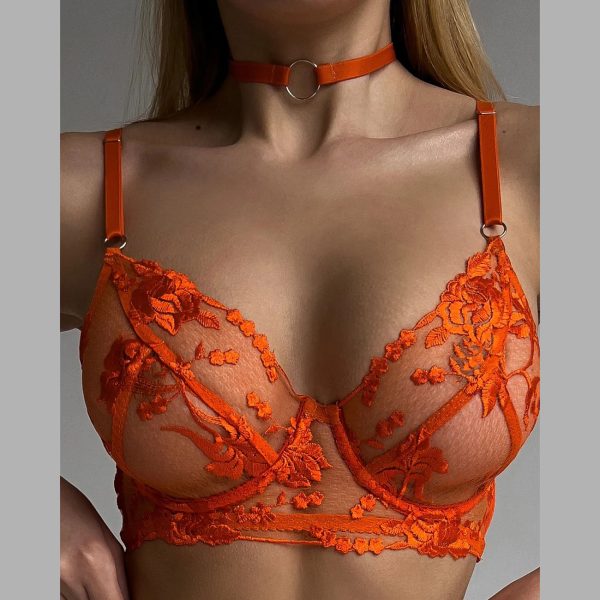 DIER 2024 European and American New Exquisite Embroider Three-point Sexy Mesh · Embroidered Perspective Suit - Image 2
