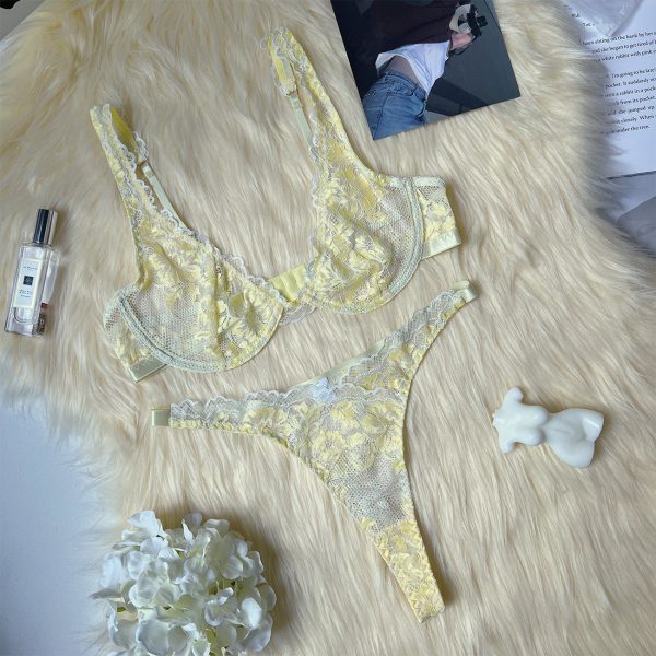 Europe and the United States foreign trade supply  new two-color lace sexy underwear with steel ring set underwear - Image 12