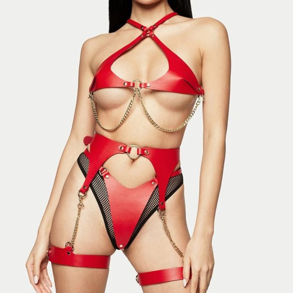 European and American Hollow-out Bundle Sexy Bound Underwear Suit Passion sm Nightclub Queen Dress Role-playing - Image 13