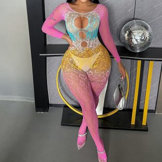 Gradient Mesh Bodysuit: Sexy Long Sleeve Lingerie for Women