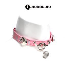 Cute Female Puppy Collar & Leash Set for K9 Training