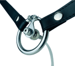 Chastity Lock