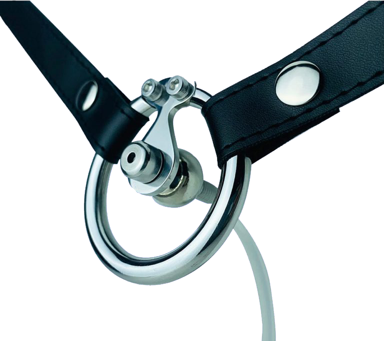 Chastity Lock