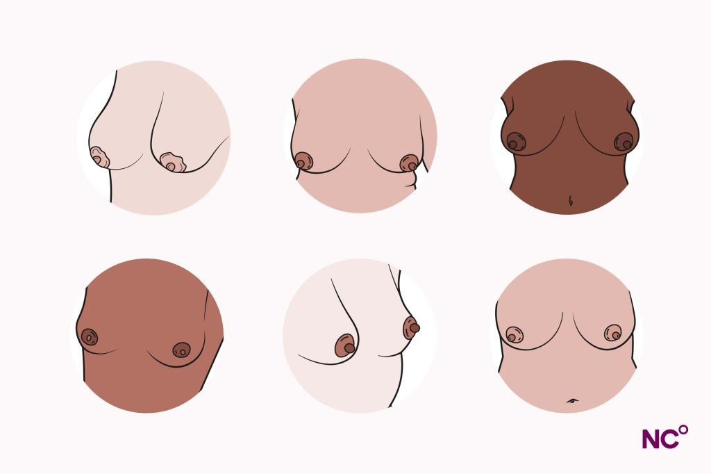 Different shapes of nipples