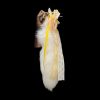 Handmade Light Yellow Bow Bell Anal Plug with Real Fox Fur Tail