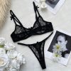 Ultra-Thin French Mesh Bra & Panty Set - Sexy Lingerie