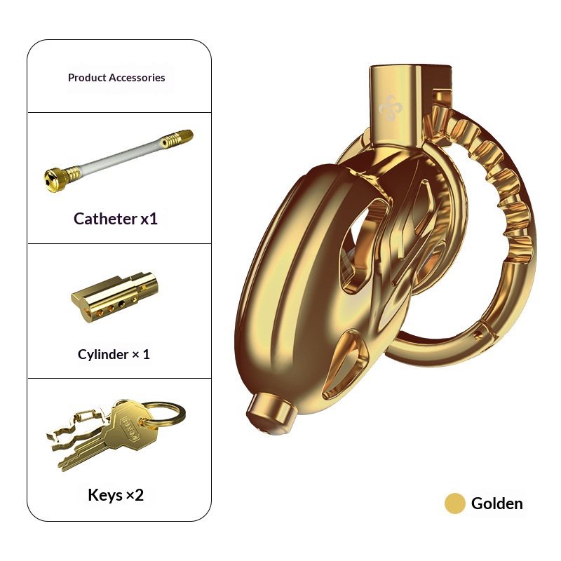 Samanda Royal Dragon Metal Men's CB chastity lock penis lock SM training ascetic toy - Image 6