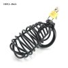 Large Stainless Steel Chastity Lock for Men - Secure Couple's Passion Tool