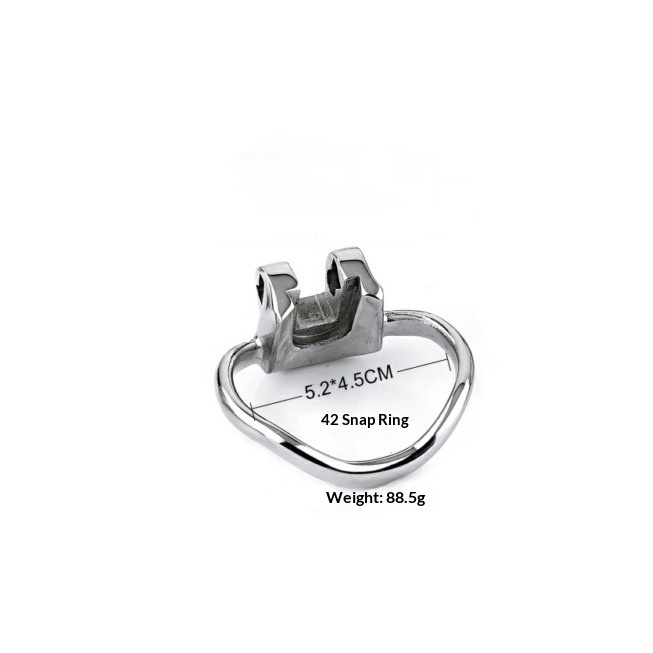 Stainless Steel Male Chastity Lock Bird Tease Training Device - Image 12