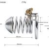 Qiqu Metal Chastity Lock & Penis Cage for Adult Intimacy & Exploration