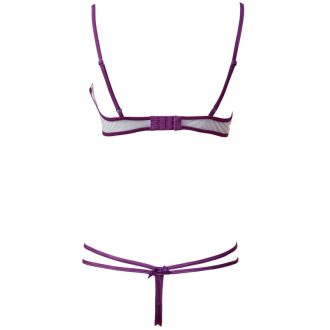 Dew Purple Embroidered Bra & Low Waist Pants Set with Steel Ring Flash Shoulder Strap