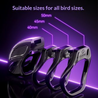 Bee Thorn chastity lock APP electric shock men’s cb lock ring male sm toy training lock