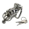 Stainless Steel Male Chastity Lock Bird Tease Training Device