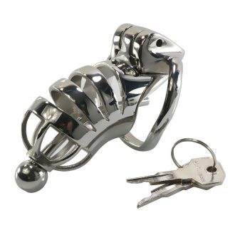 Stainless Steel Male Chastity Lock Bird Tease Training Device