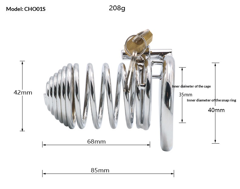 Qiqu Metal Chastity Lock & Penis Cage for Adult Intimacy & Exploration - Image 6
